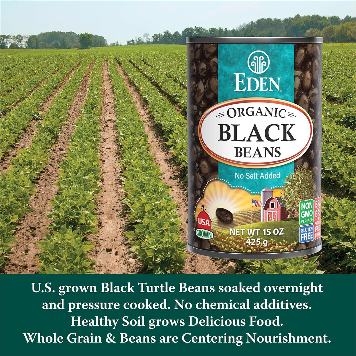 Eden Organic Black Beans, 15 oz Can (12-Pack Case) , No Salt Added, Non-GMO, U.S Grown, Heat and Serve, Macrobiotic, Turtle Beans, Frijol Negro, Caviar Criollo