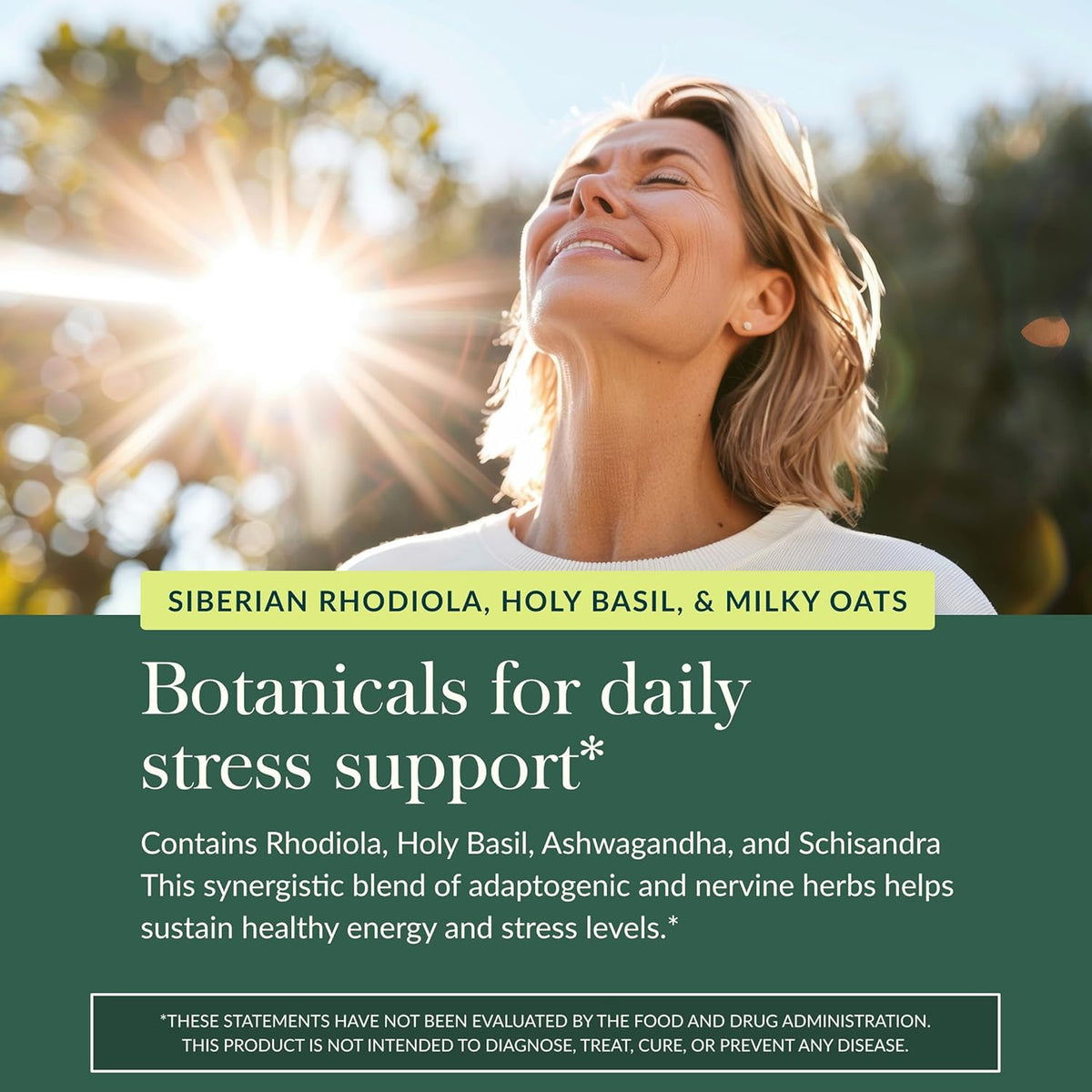 Gaia Herbs Adrenal Health Daily Support - Herbal Supplement with Ashwagandha, Holy Basil & Schisandra - Help Maintain Healthy Energy & Stress Levels* - 120 Vegan Liquid Phyto-Caps (60 Servings)