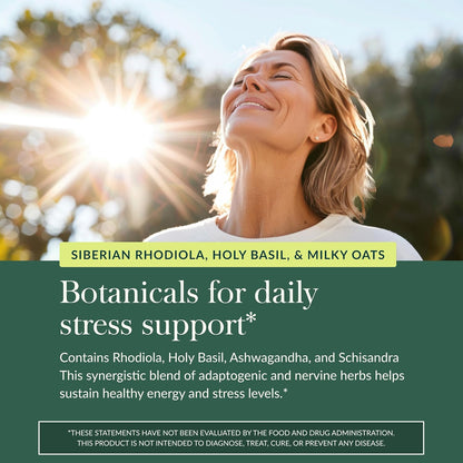 Gaia Herbs Adrenal Health Daily Support - Herbal Supplement with Ashwagandha, Holy Basil & Schisandra - Help Maintain Healthy Energy & Stress Levels* - 120 Vegan Liquid Phyto-Caps (60 Servings)