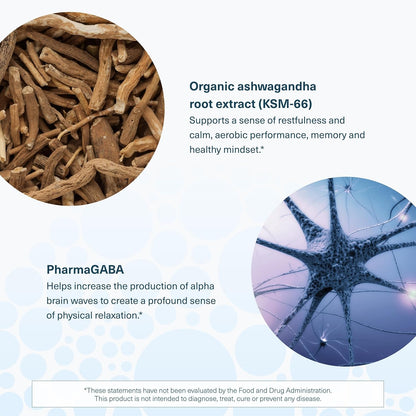 Youtheory Ashwagandha + GABA - Adaptogenic Blend with Organic KSM-66 & Ginger - Aids Stress Relief & Mood* - Supports Energy Levels* - 60 Vegetarian Capsules (30-Day Supply